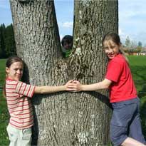 Angebote Schulen Baum umarmen